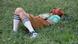 A tired Oktoberfest visitor laying on the grass in lederhosen.