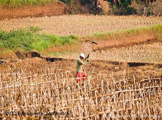 Bauer auf seinem trockenen Feld- Indonesien